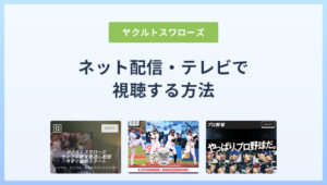 ヤクルトスワローズ戦の中継をネット・テレビで視聴する方法